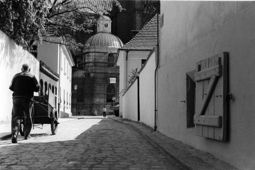 OstTum7.jpg