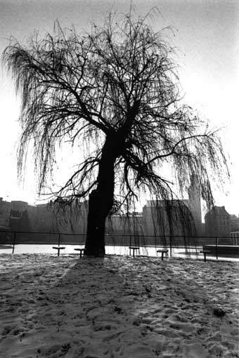 Wro08.jpg