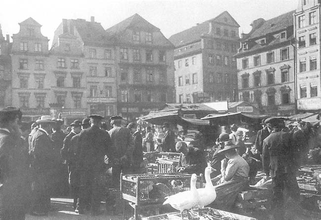 neumarkt_targ.jpg
