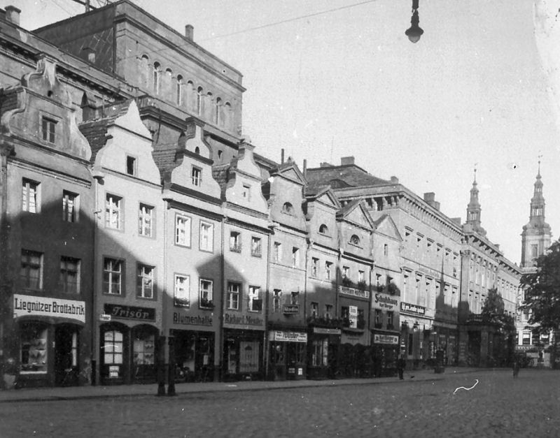 legnica_ring_51.jpg