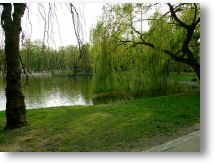 ParkPolud10.JPG