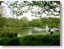 ParkPolud5.JPG