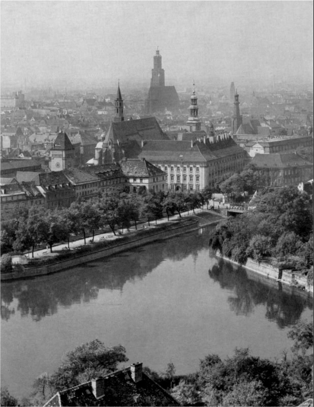 ritter_sand_ursuliner.jpg