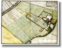 werner_grueneiche_dabie.jpg
